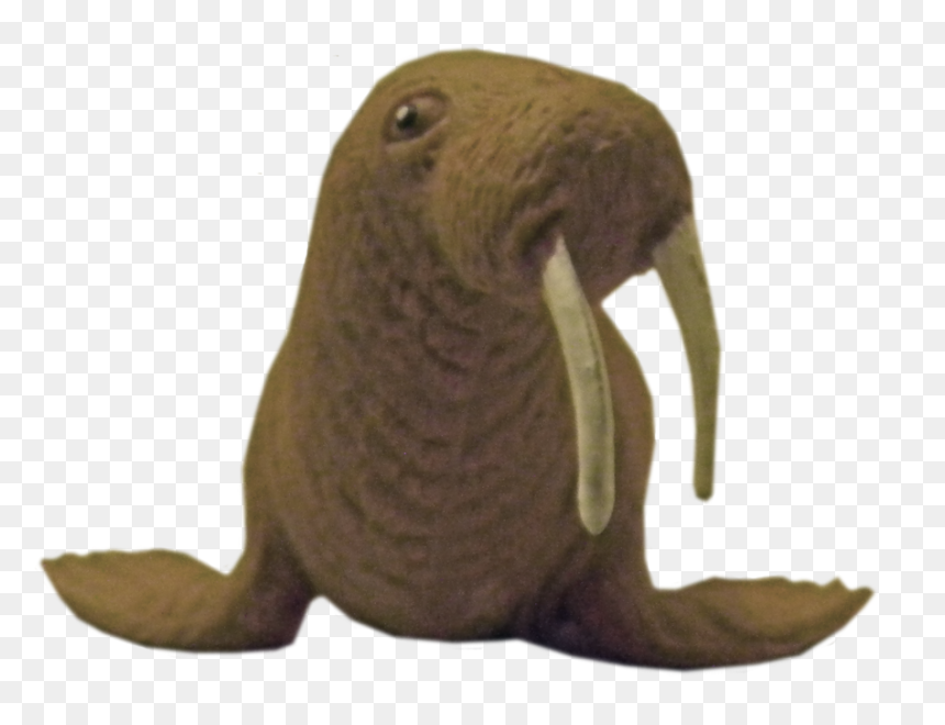 Walrus Png Transparent - Portable Network Graphics, Png Download - walrus png