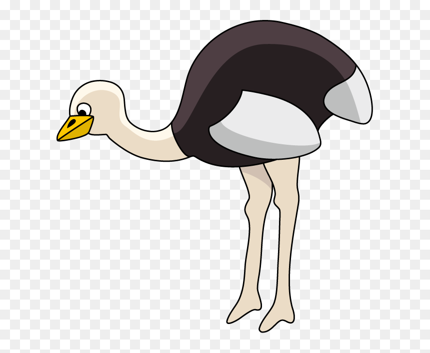 Png Download , Png Download - Common Ostrich, Transparent Png - ostrich png