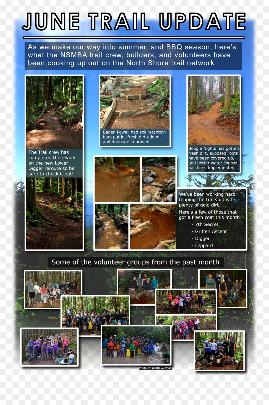 Tree, HD Png Download - dirt path png