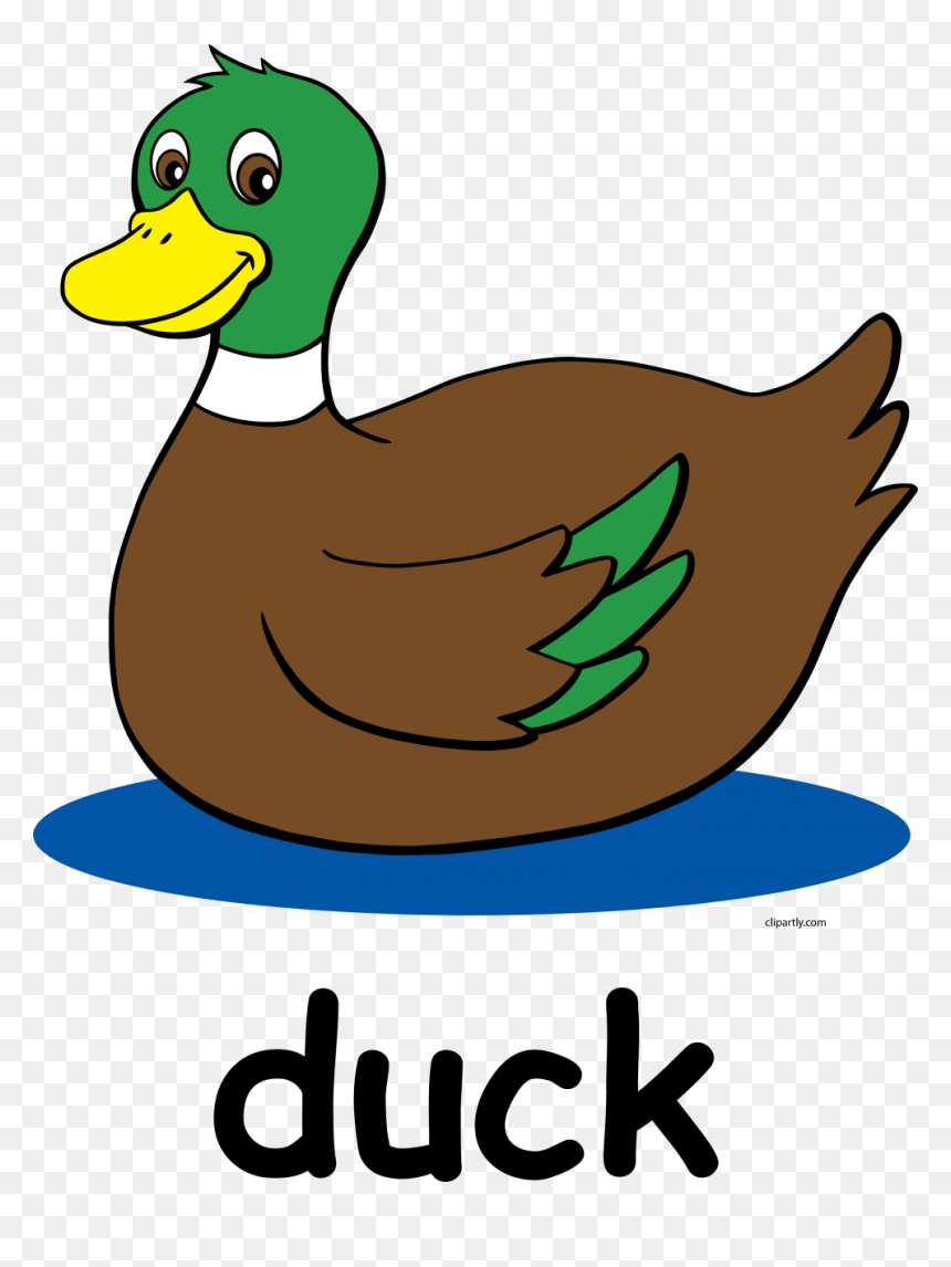 Duck Clipart For Kids, HD Png Download - school clipart png