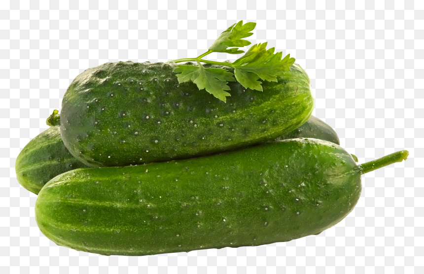 Cucumber Png, Transparent Png - pickles png