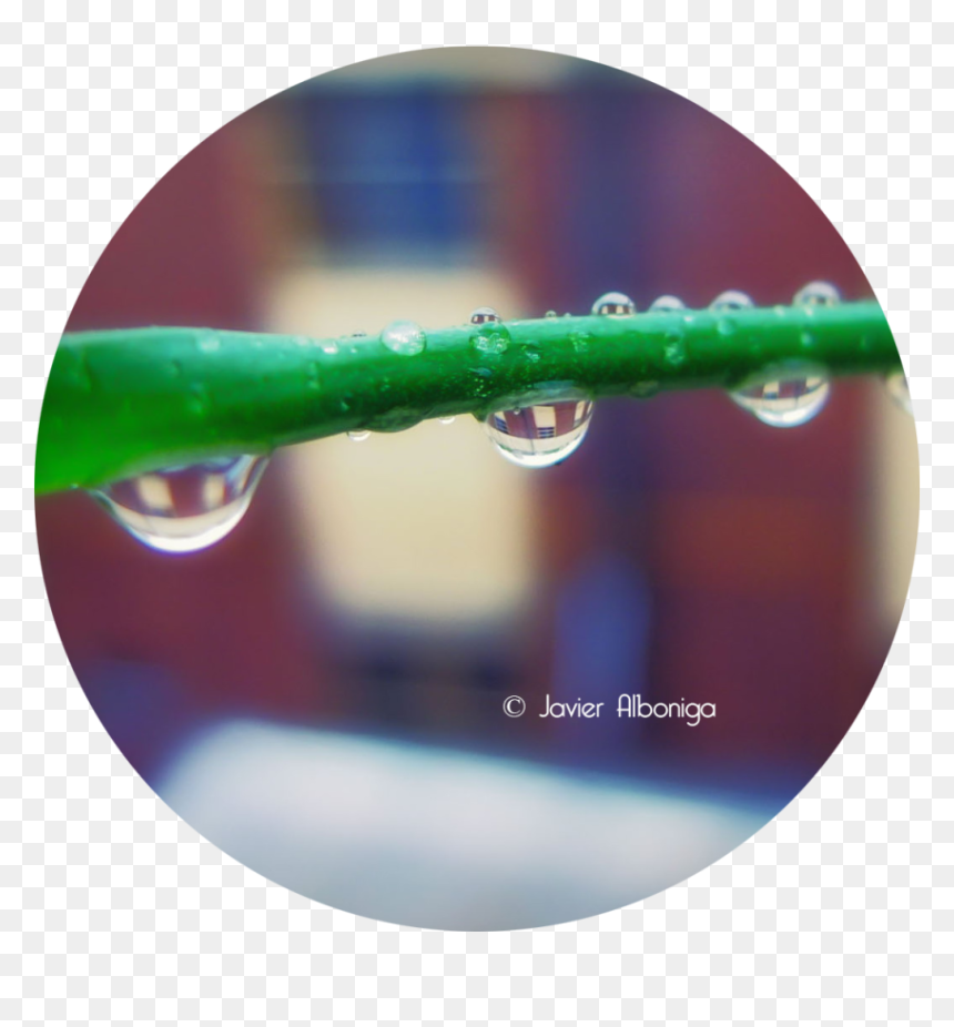 Gotas De Lluvia - Drop, HD Png Download - lluvia png