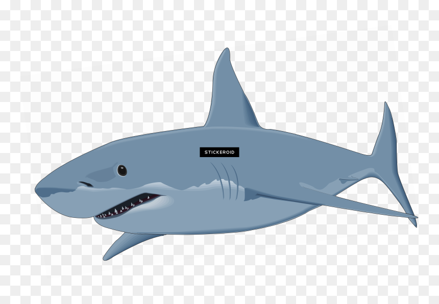 White Great Shark Clipart, HD Png Download - sharks png