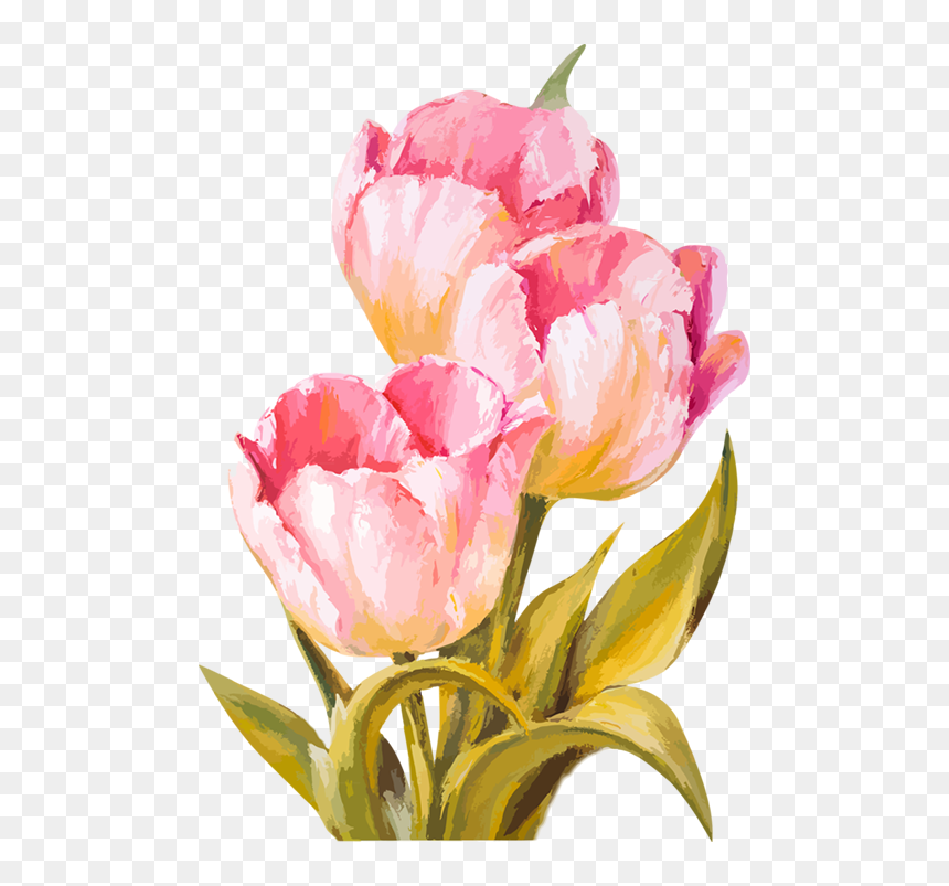 Pastels Drawing Flower - Tulip Flower Watercolor, HD Png Download - pastel flowers png