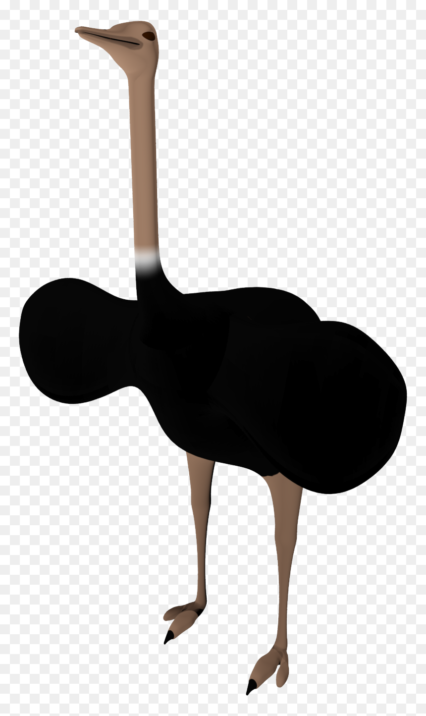Common Ostrich, HD Png Download - ostrich png