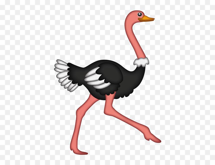 Ostrich, HD Png Download - ostrich png