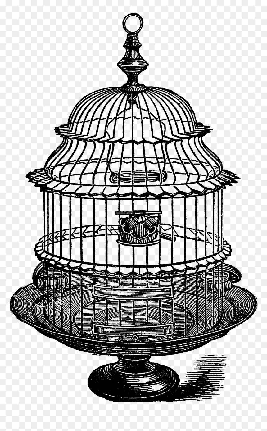 Transparent Birdcage Png - Vintage Bird Cage Clipart, Png Download - bird cage png