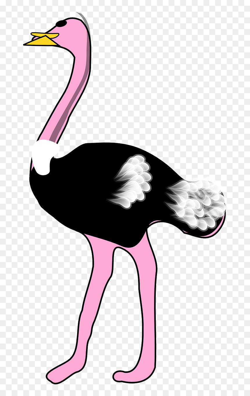 Ostrich Cliparts, HD Png Download - ostrich png