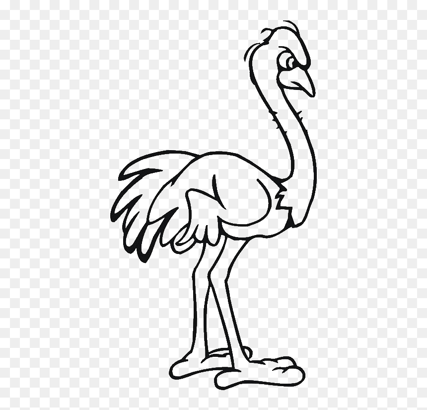 Common Ostrich Drawing Cartoon Clip Art - Ostrich Drawing Png, Transparent Png - ostrich png