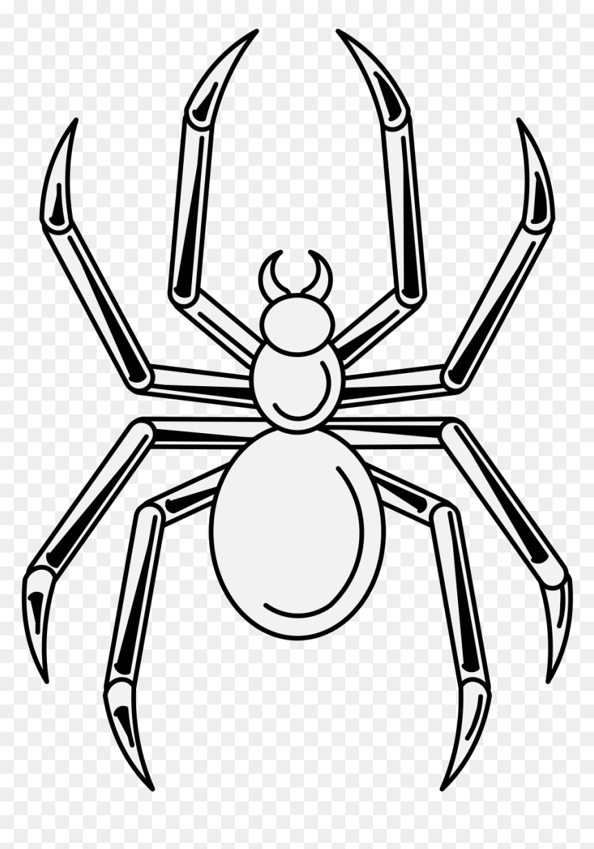 Cartoon, HD Png Download - spider webs png