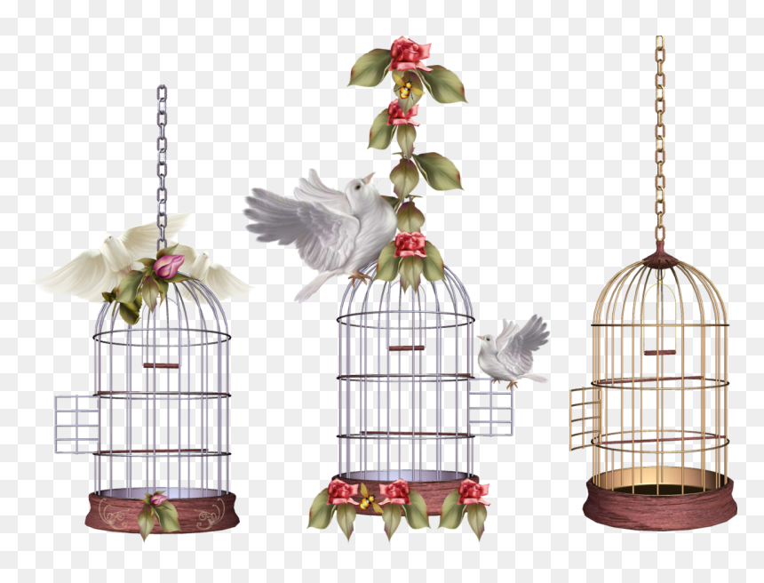 White Bird Cage Png Image - Birds Cage Png, Transparent Png - bird cage png