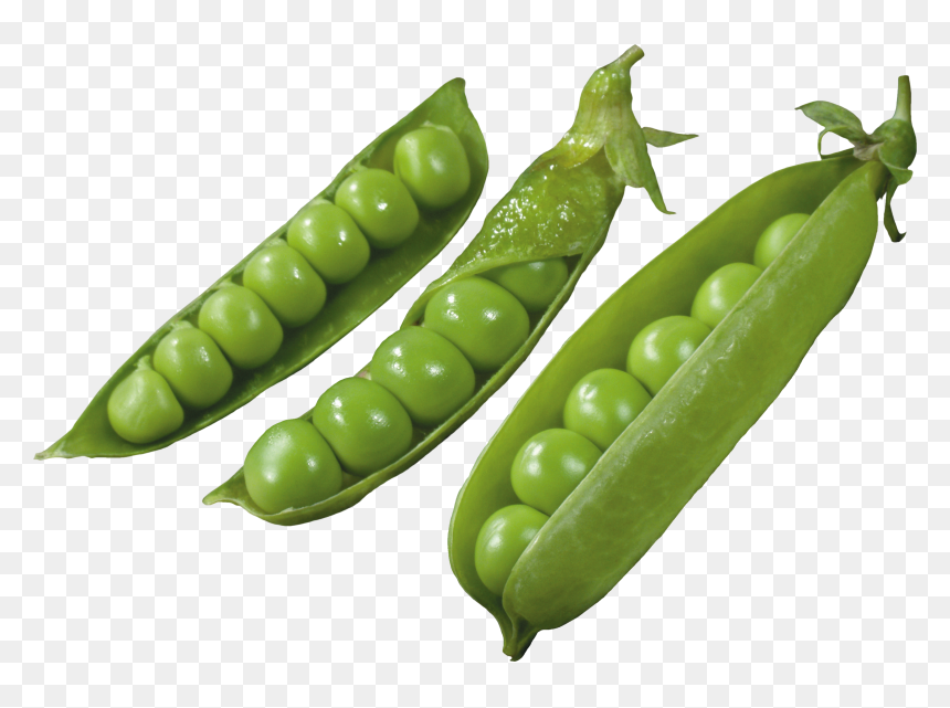Three Pods With Peas - Горох Png, Transparent Png - peas png