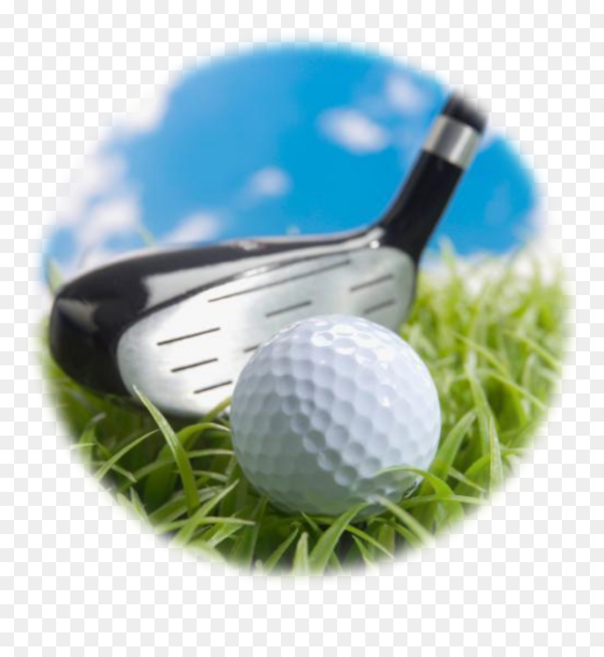 Practicing In Public Parks - Golf, HD Png Download - golf ball on tee png