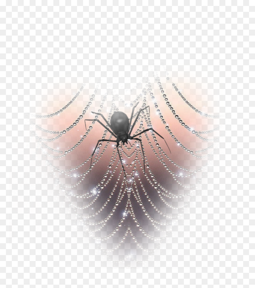 #freetoedit #spider #spiderwebs - Spider Web, HD Png Download - spider webs png