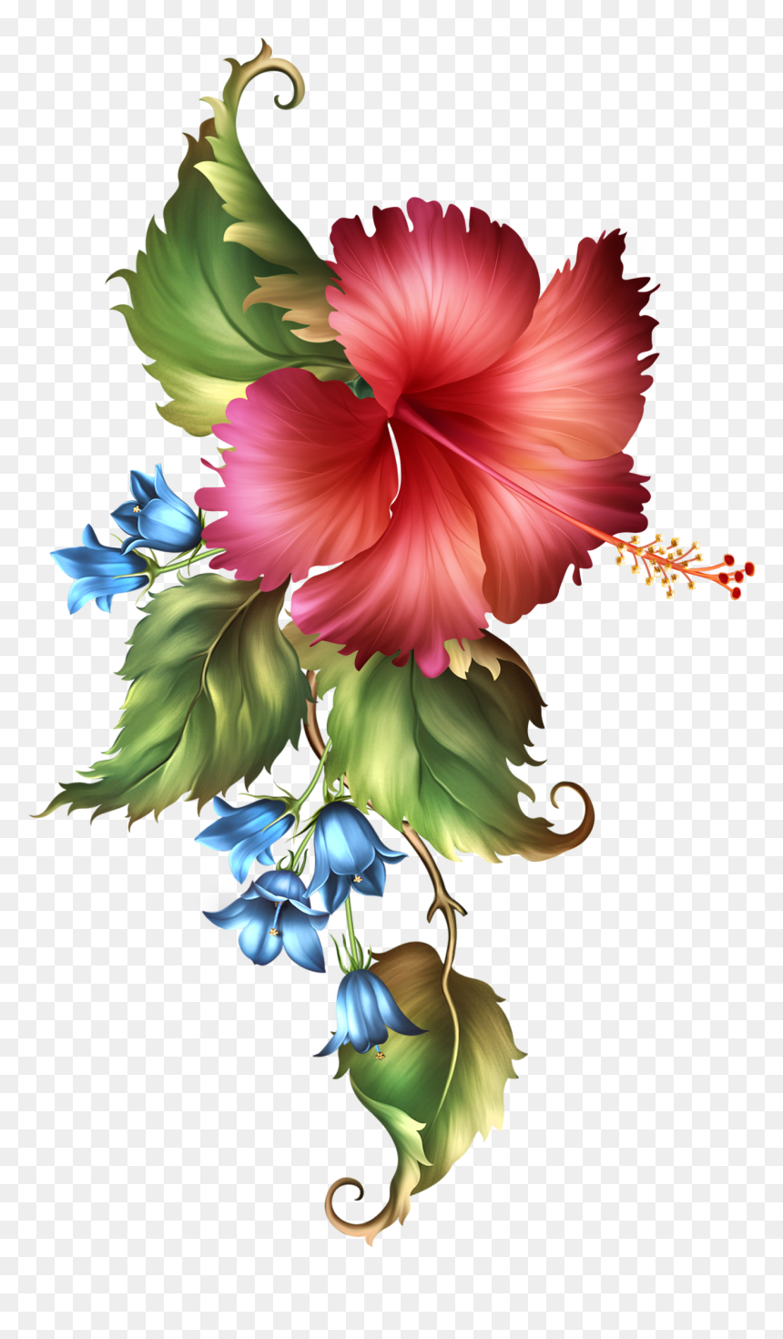 Fashionably Florale Hoe, Simply Beautiful, Flora, Frames, - Acrylic Flower Painting Hibiscus, HD Png Download - hawaiian png