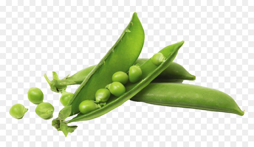 Pea In A Pot, HD Png Download - peas png