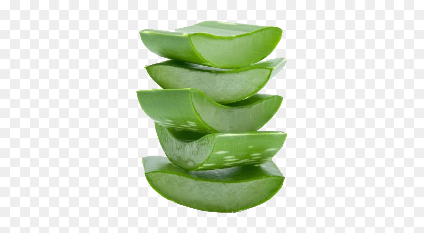 Aloe Vera Gel Png High-quality Image - Aloe Vera Gel Png, Transparent Png - aloe vera png