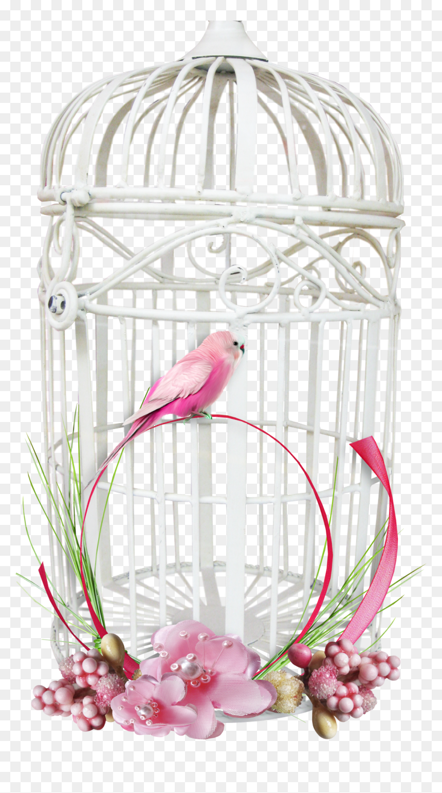White Bird Cage - Transparent Background Bird Cage Png, Png Download - bird cage png