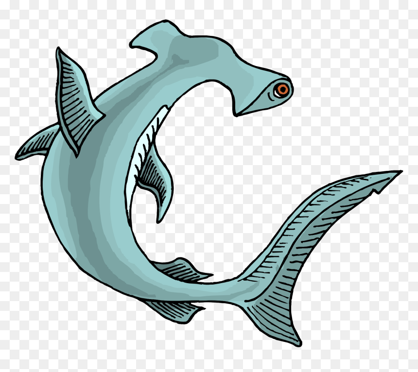 Sharks Png Image File - Hammerhead Shark Clipart, Transparent Png - sharks png