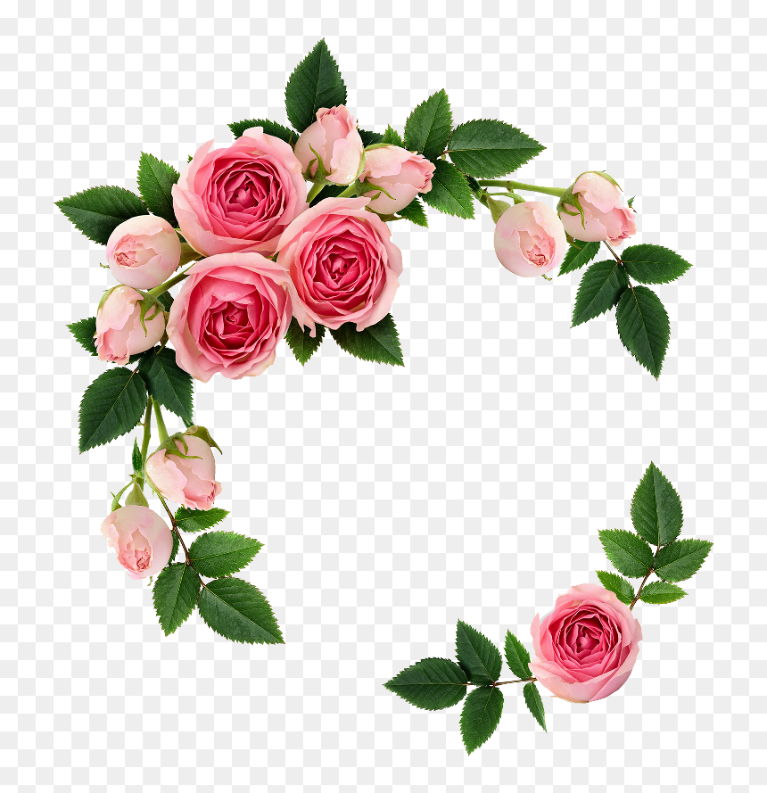 Fte Flowers Picsart Frame - You Help Others Allah Will Help You, HD Png Download - elegant frame png