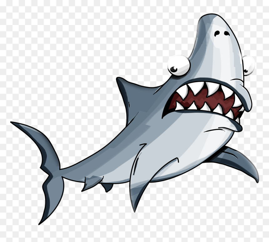 Shark Facts Great White Shark Tiger Shark Whale Shark - Happy 5oth Birthday Fishing, HD Png Download - sharks png