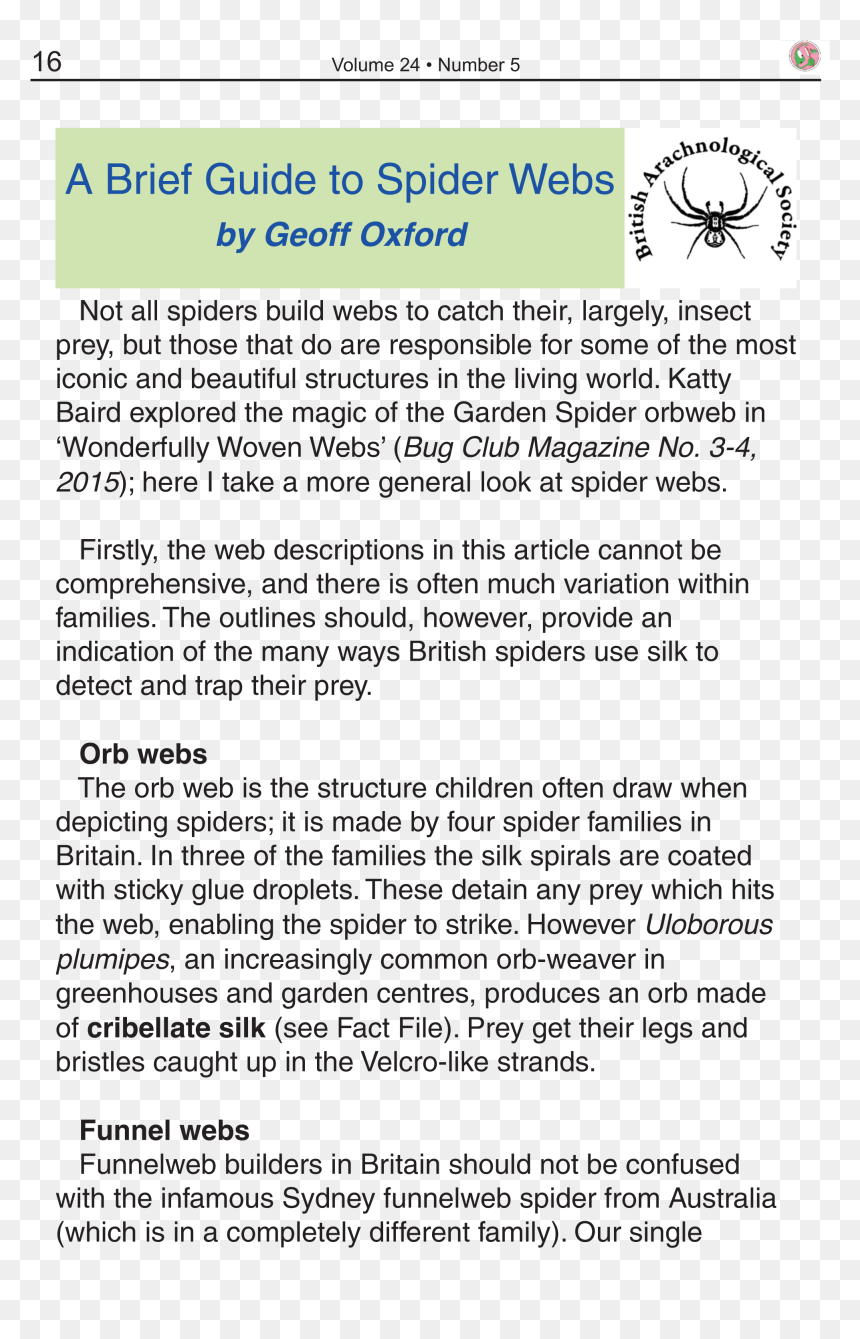 Screenshot, HD Png Download - spider webs png