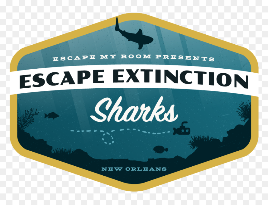 Illustration, HD Png Download - sharks png