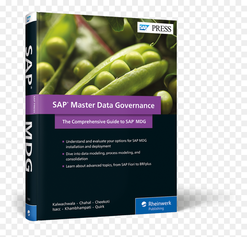 Transparent Press Start Png - Sap Master Data Governance: The Comprehensive Guide, Png Download - press start png