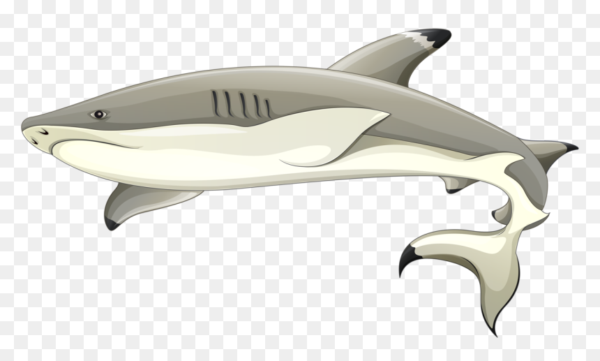 Blacktip Reef Shark Clipart, HD Png Download - sharks png