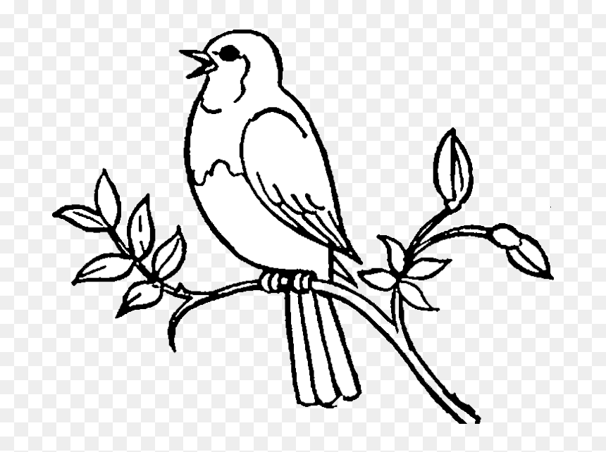 Bird Black And White Png - Bird White And Black, Transparent Png - bird clipart png