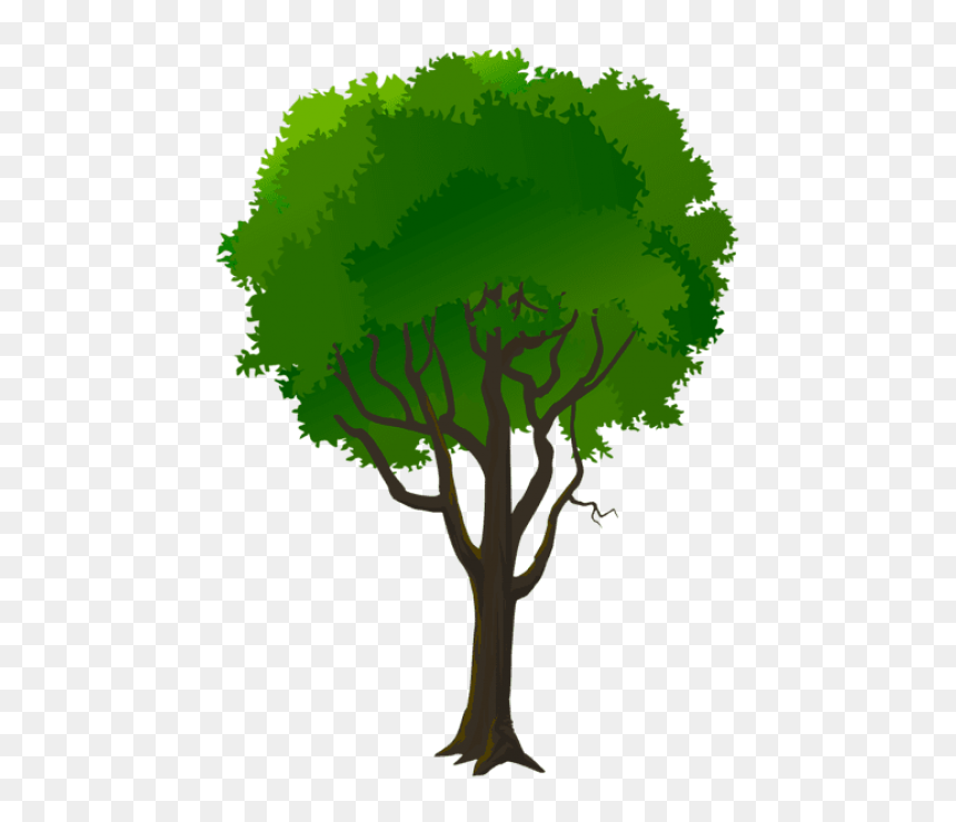 Pine Trees Clipart - Portable Network Graphics, HD Png Download - pine tree branch png