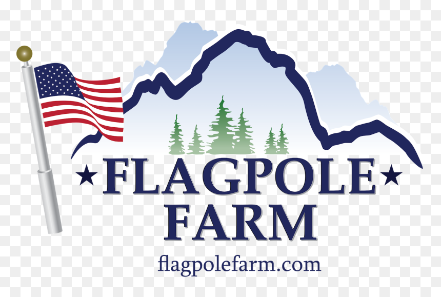 Flag Of The United States, HD Png Download - american flag pole png