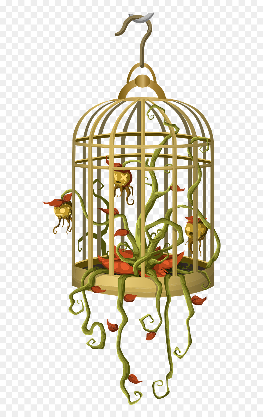 Birdcage, HD Png Download - bird cage png