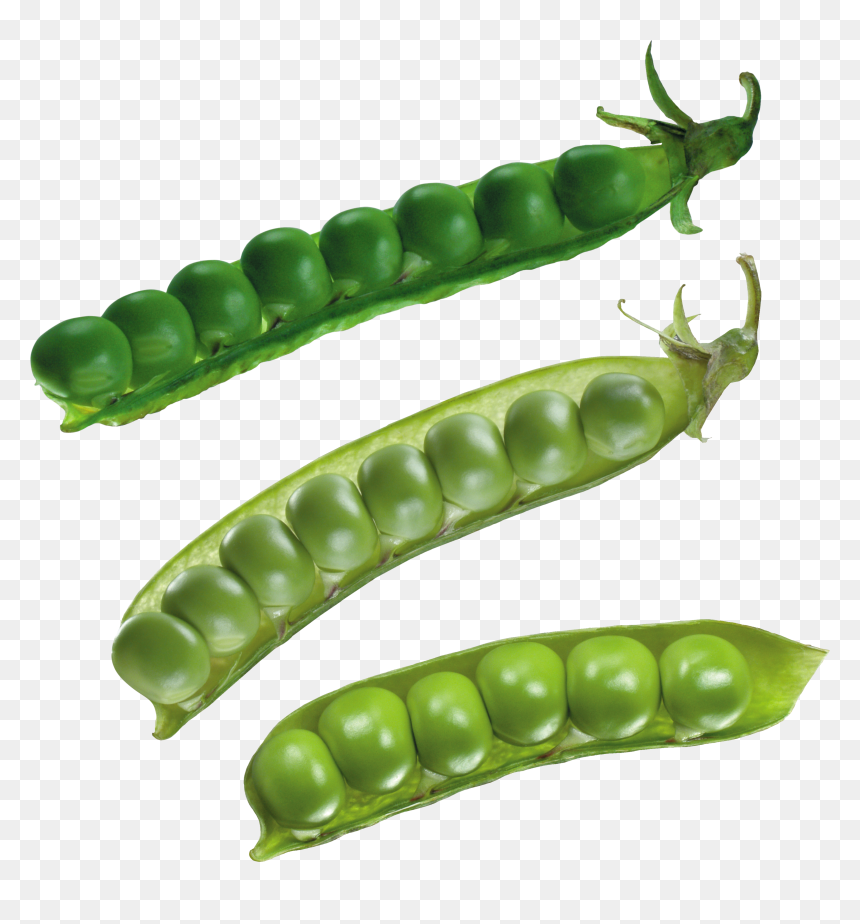 Download For Free Pea Png Picture - Kacang Polong Png, Transparent Png - peas png