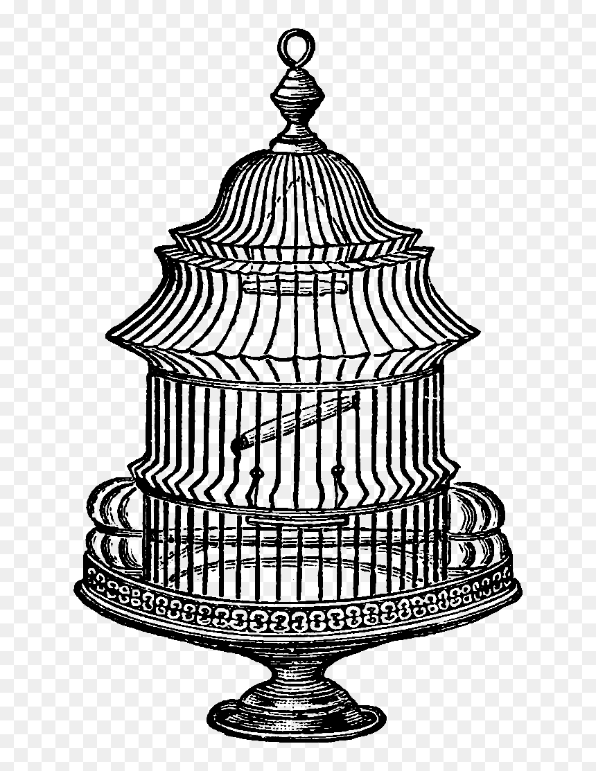 Vintage Bird Cage Graphic, HD Png Download - bird cage png