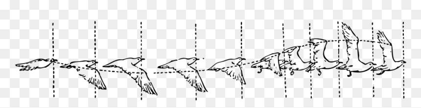 Bird In Flight, HD Png Download - motion lines png