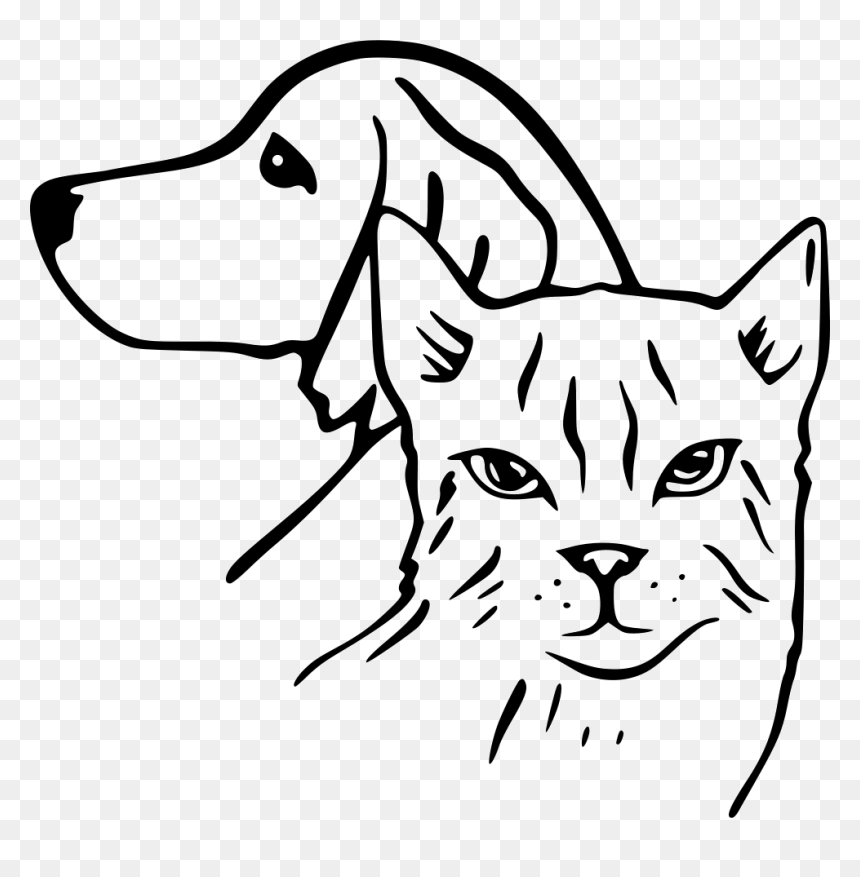 Pets - Dog And Cat Drawing, HD Png Download - pets png