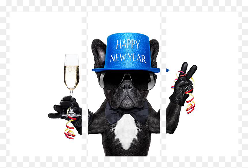 Happy New Year Weird, HD Png Download - new years hat png