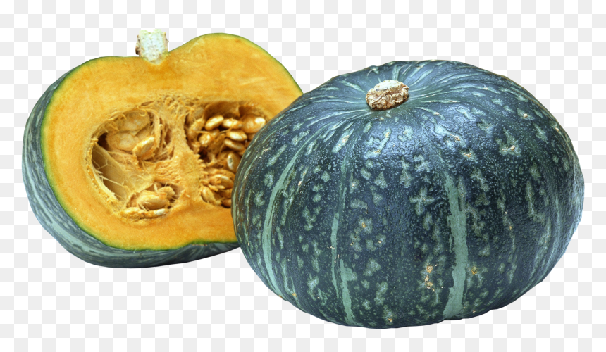 Download And Use Pumpkin Png Image - Squash Png, Transparent Png - pumpkin.png