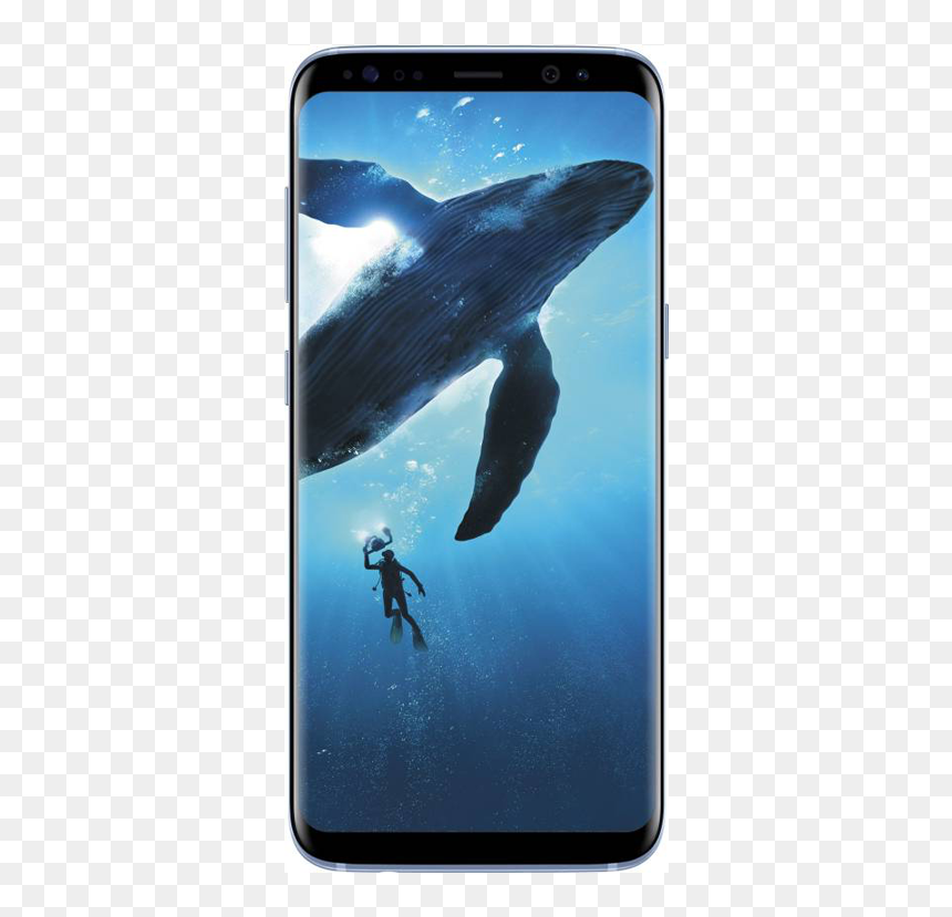Samsung S8 Plus 128gb, HD Png Download - samsung s8 png