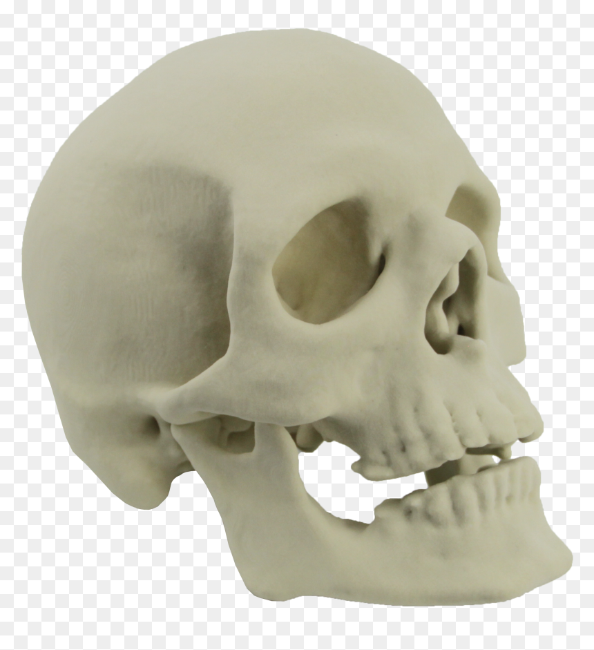Skull Png - Transparent 3d Skull Png, Png Download - skull.png