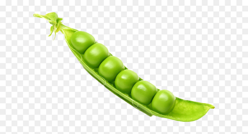 Peas Transparent Png, Png Download - peas png