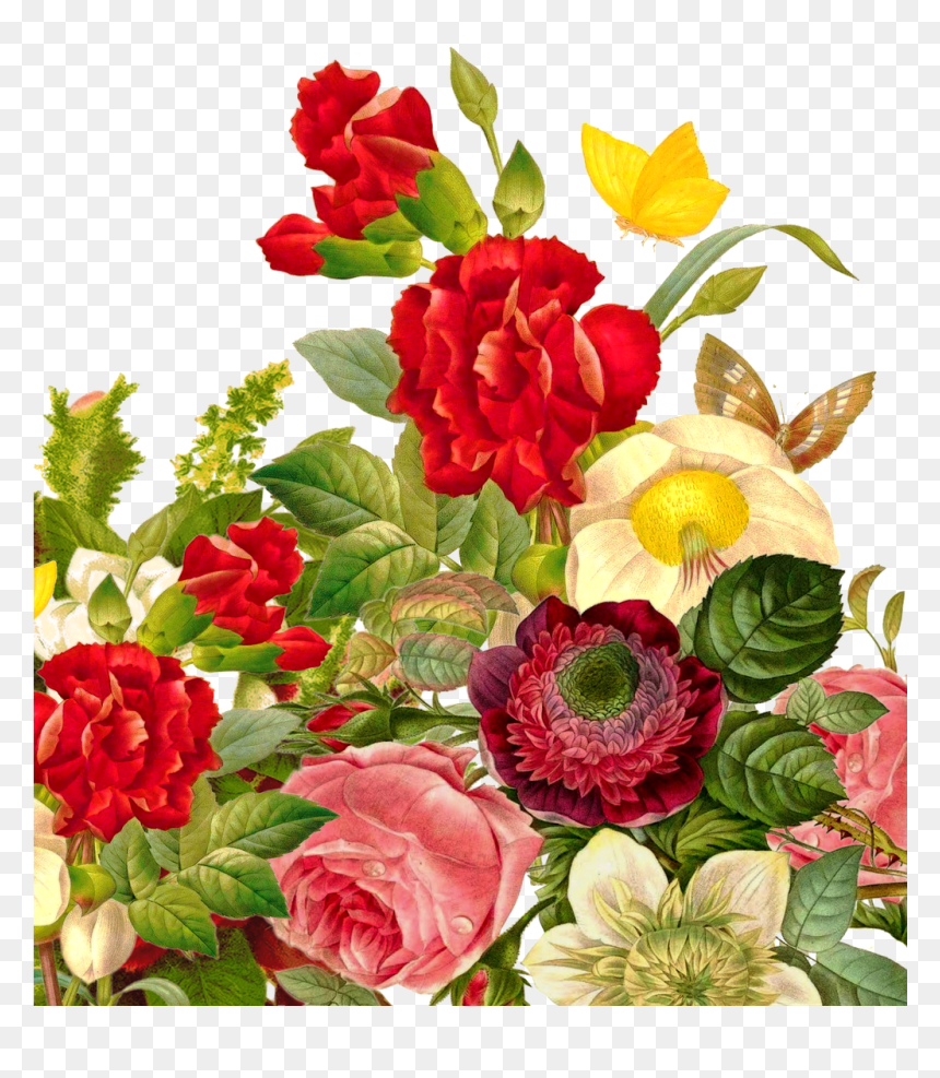 Transparent Bouquet Of Roses Png - Butterfly Flower Images Rose, Png Download - bouquet of flowers png