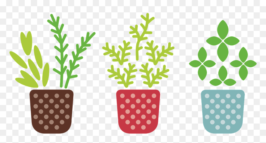 Clipart Plant Transparent Background, HD Png Download - herb png