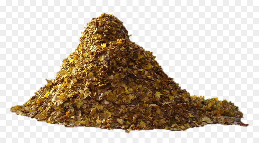 Pile Of Autumn Leaves Transparent Png - Autumn Leaves Piles Png Transparent, Png Download - pile of leaves png