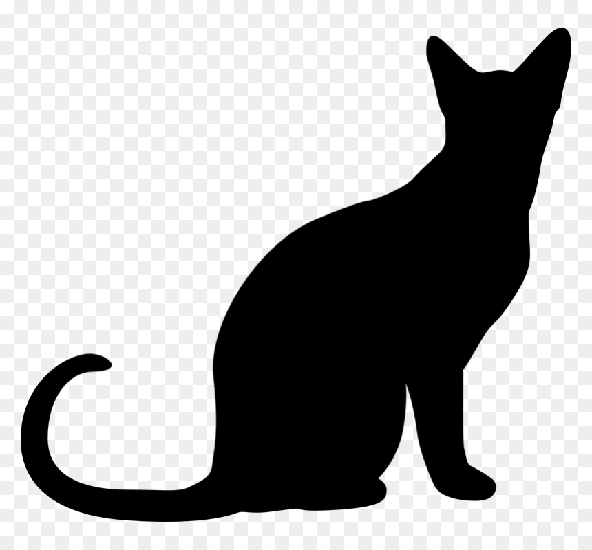 Thumb Image - Cat Silhouette Transparent Background, HD Png Download - cat vector png