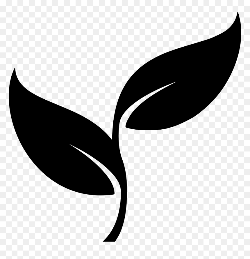 Herb - Herb Png Black And White, Transparent Png - herb png