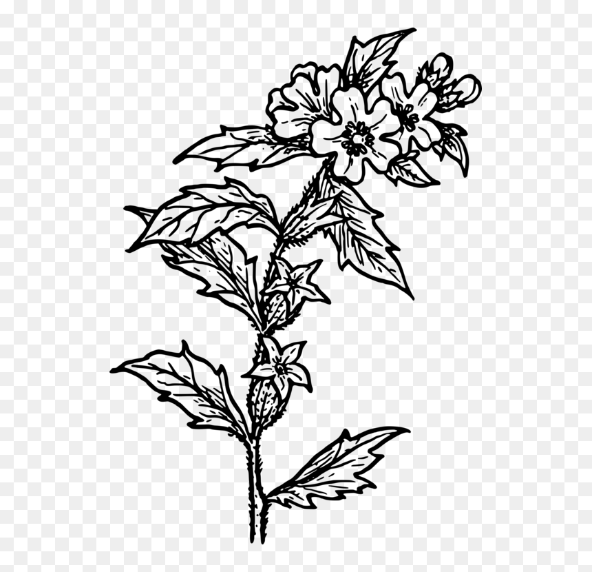 Computer Icons Download Line - Herbs Black And White, HD Png Download - herb png