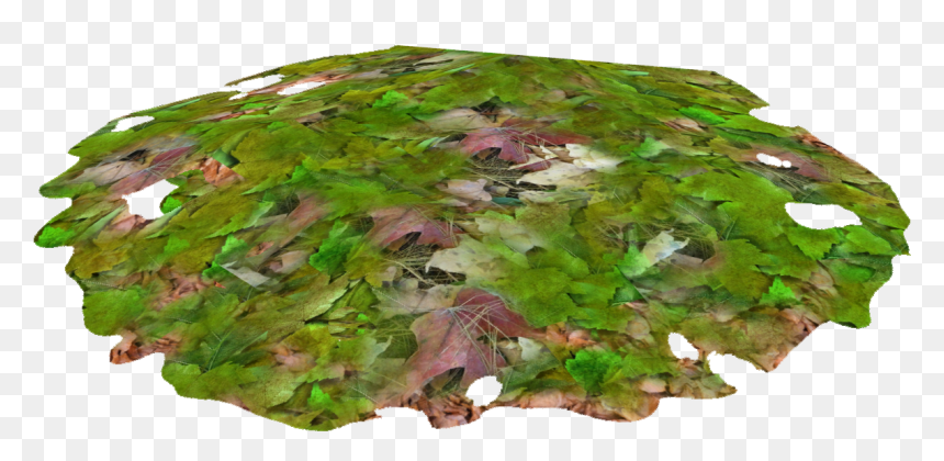 Leaves Pile - Maple Leaf, HD Png Download - pile of leaves png