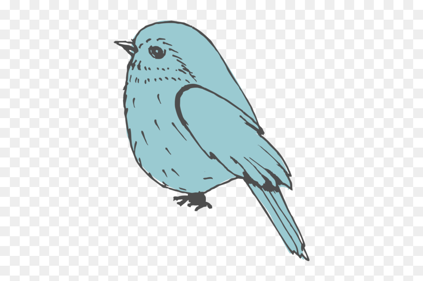 Mountain Bluebird, HD Png Download - bird icon png